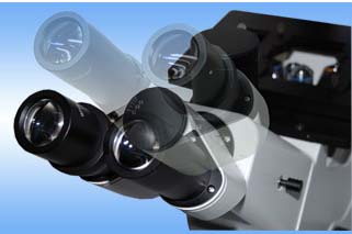 �^��ϵ�yGMSP-5