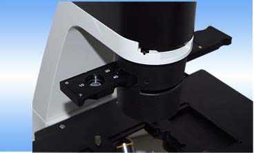 ͸������ϵ�y